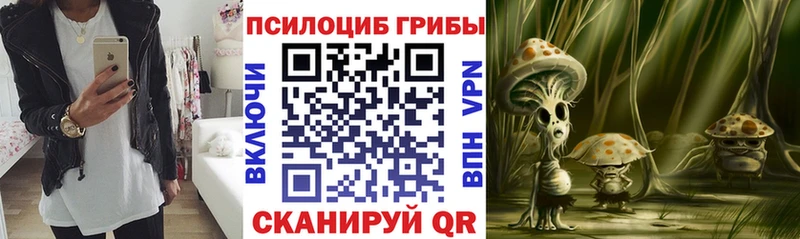 Псилоцибиновые грибы мухоморы  цена   Ковылкино 
